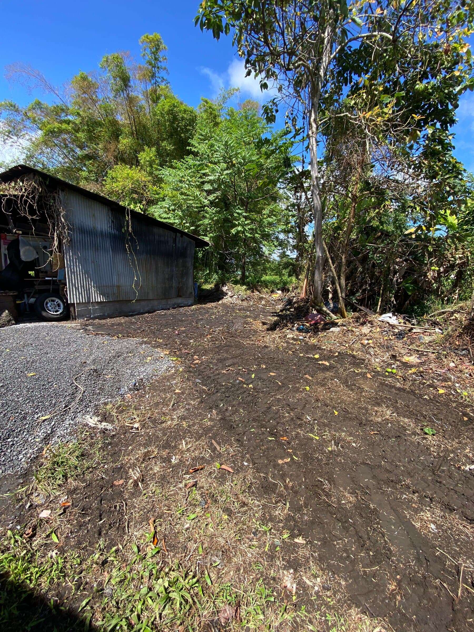 Same Hilo property after Hawaii Island Waste cleared the brush and debris, exposing the shed and graded ground