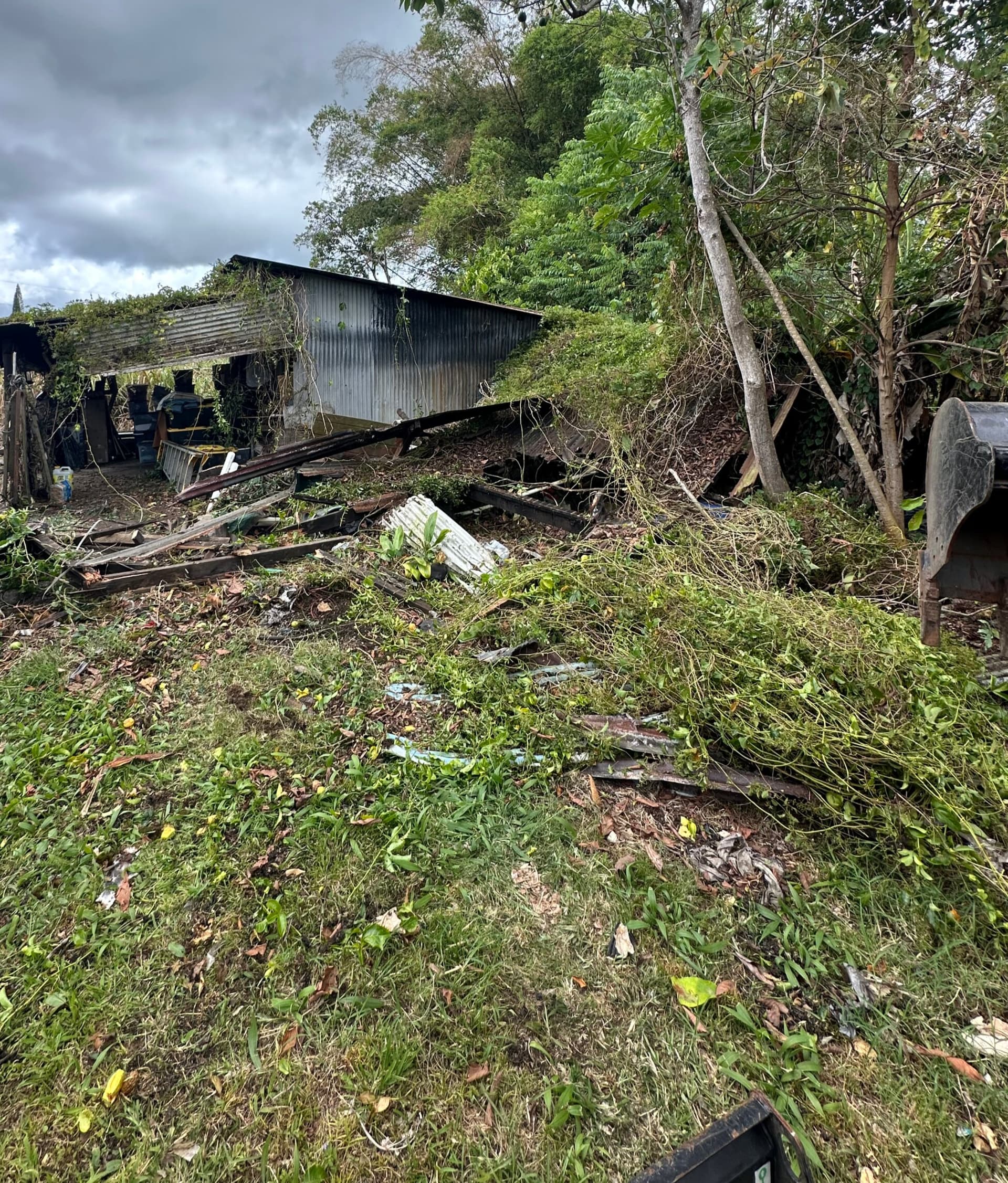 Property mid-clearing with heavy debris and brush still on the ground