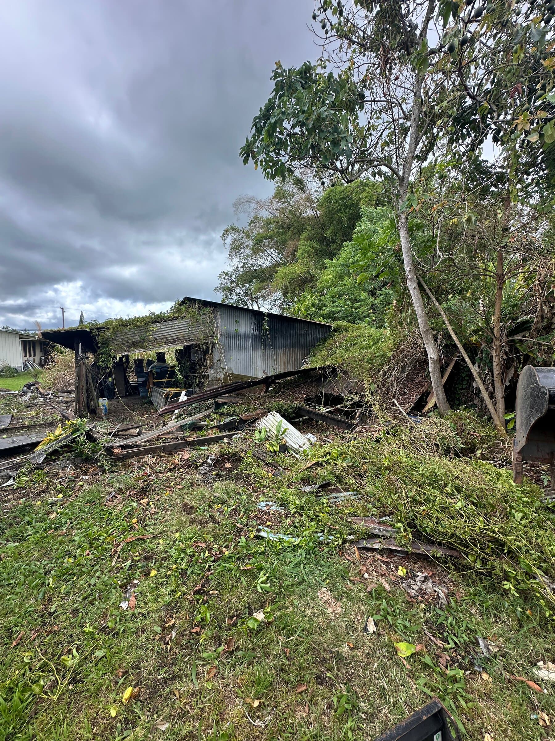 Overgrown Hilo property with rusted shed and scattered debris before Hawaii Island Waste cleanout